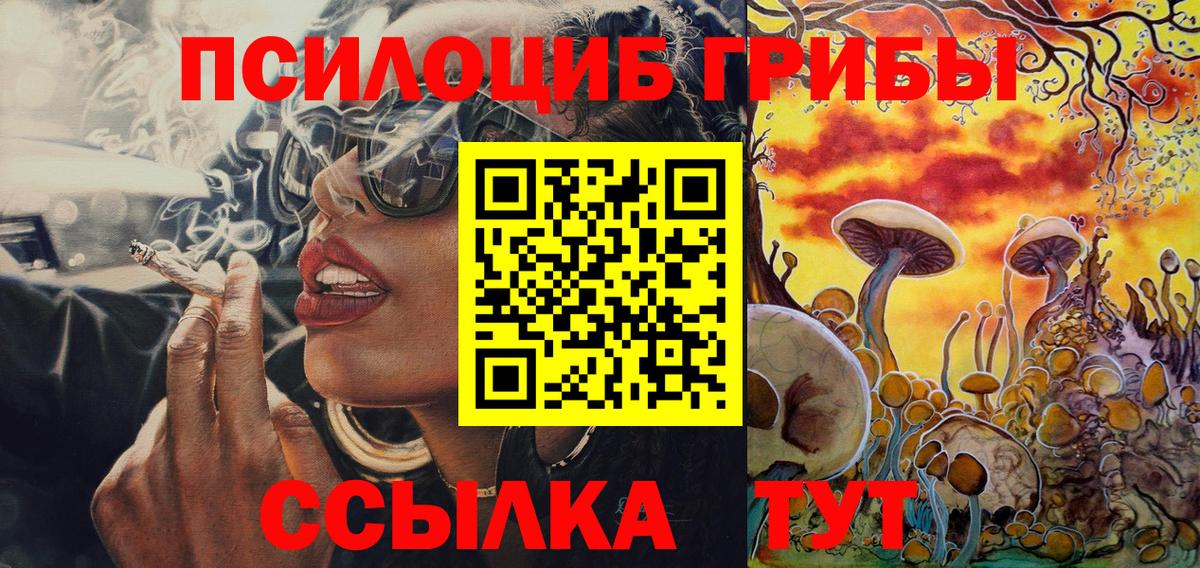 Галлюциногенные грибы GOLDEN TEACHER Сальск