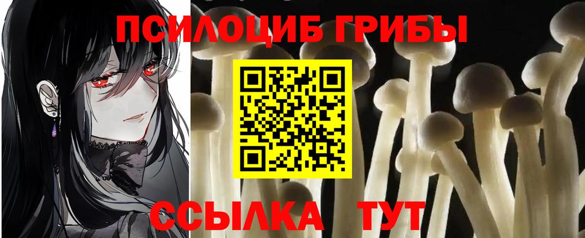 Псилоцибиновые грибы прущие грибы  Вход с VPN  Псилоцибиновые грибы ЛСД  Сальск 